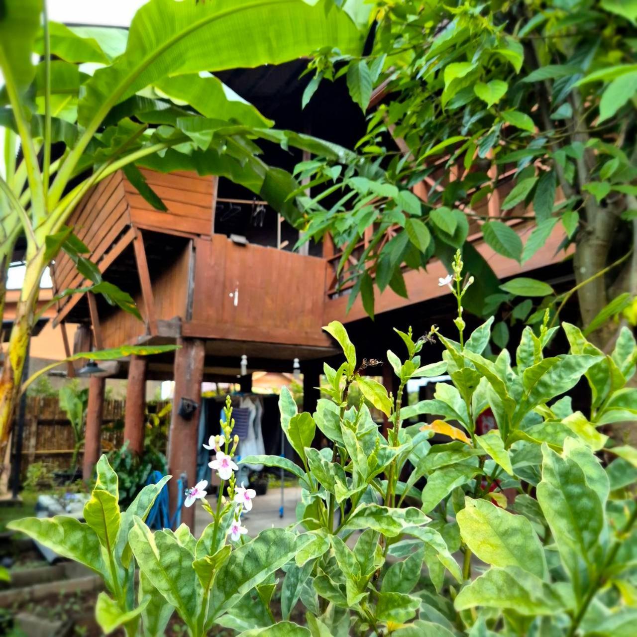 Kedthawa Homestay เฮือนเก็ดถะหวา Ban Cho Lae Exteriér fotografie