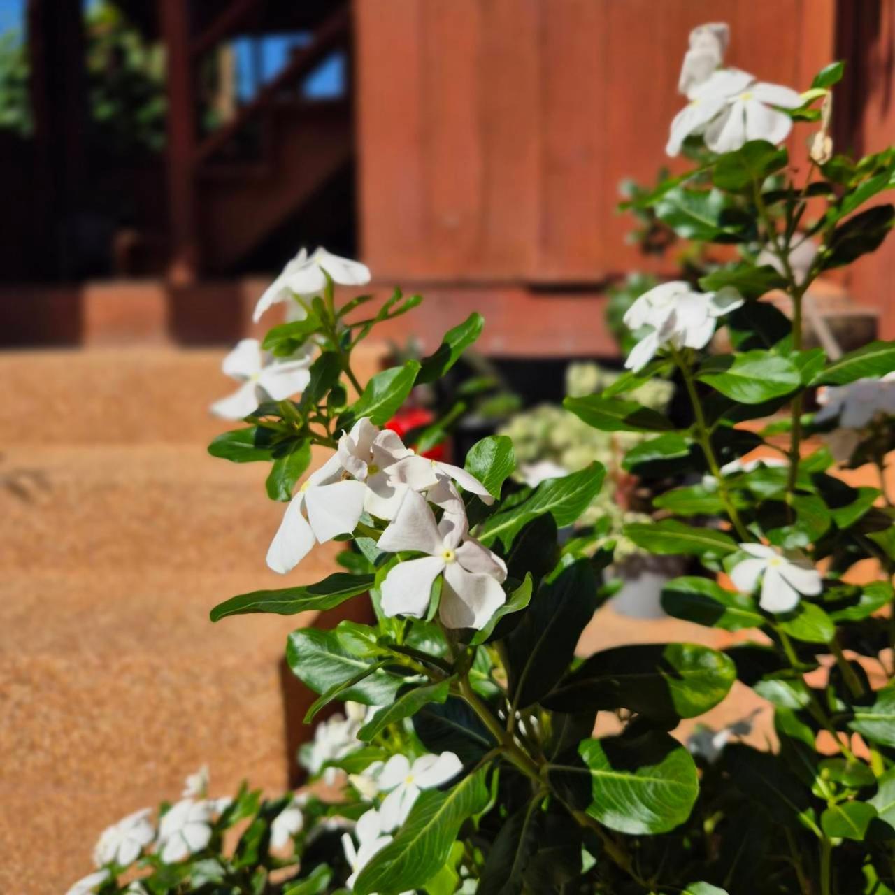 Kedthawa Homestay เฮือนเก็ดถะหวา Ban Cho Lae Exteriér fotografie